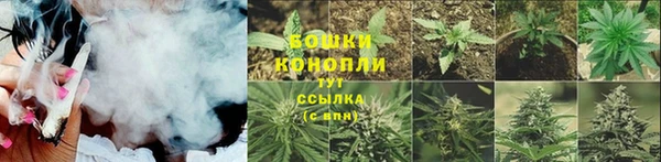 амф Арсеньев