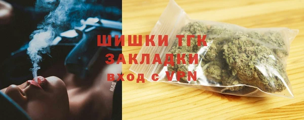 СК Аркадак