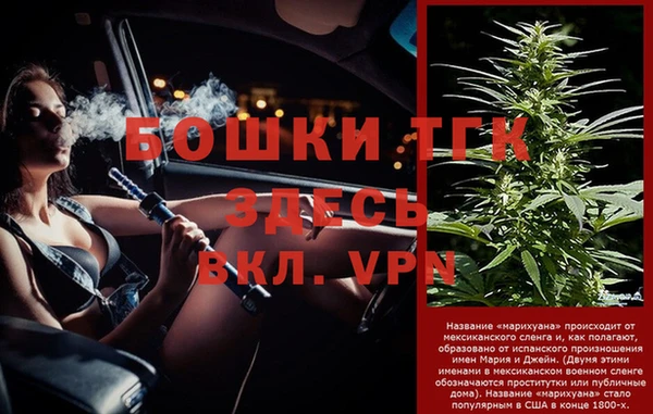амф Арсеньев