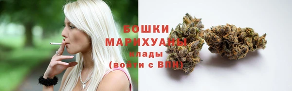 амф Арсеньев