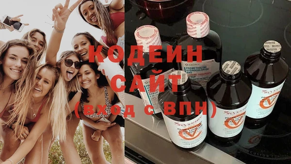 амф Арсеньев