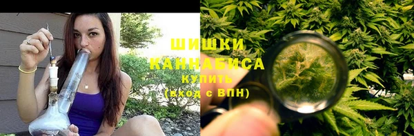 амф Арсеньев