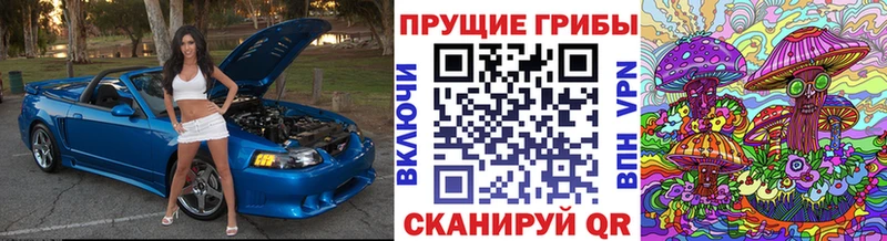Псилоцибиновые грибы GOLDEN TEACHER  Черемхово 